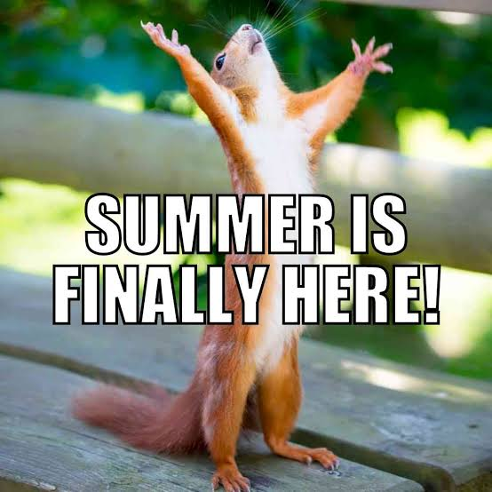 Meme showing excited-looking squirrel with the caption "Summer is finally here!"