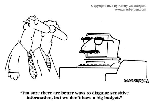 I'm sure there are better ways to disguise sensitive information, but we don't have a big budget.