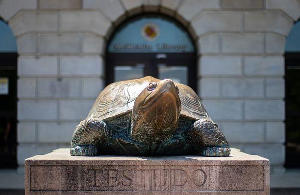 The Testudo statue in front of McKeldin library perspective from the front.