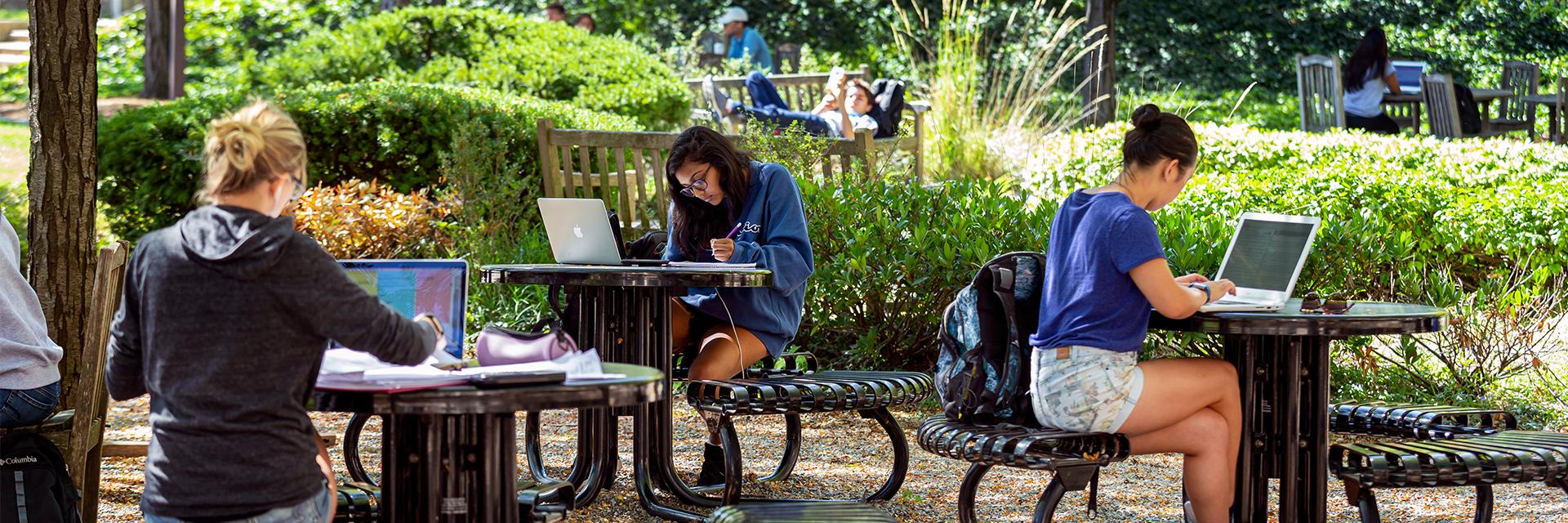 Students using laptops at outdoor tables