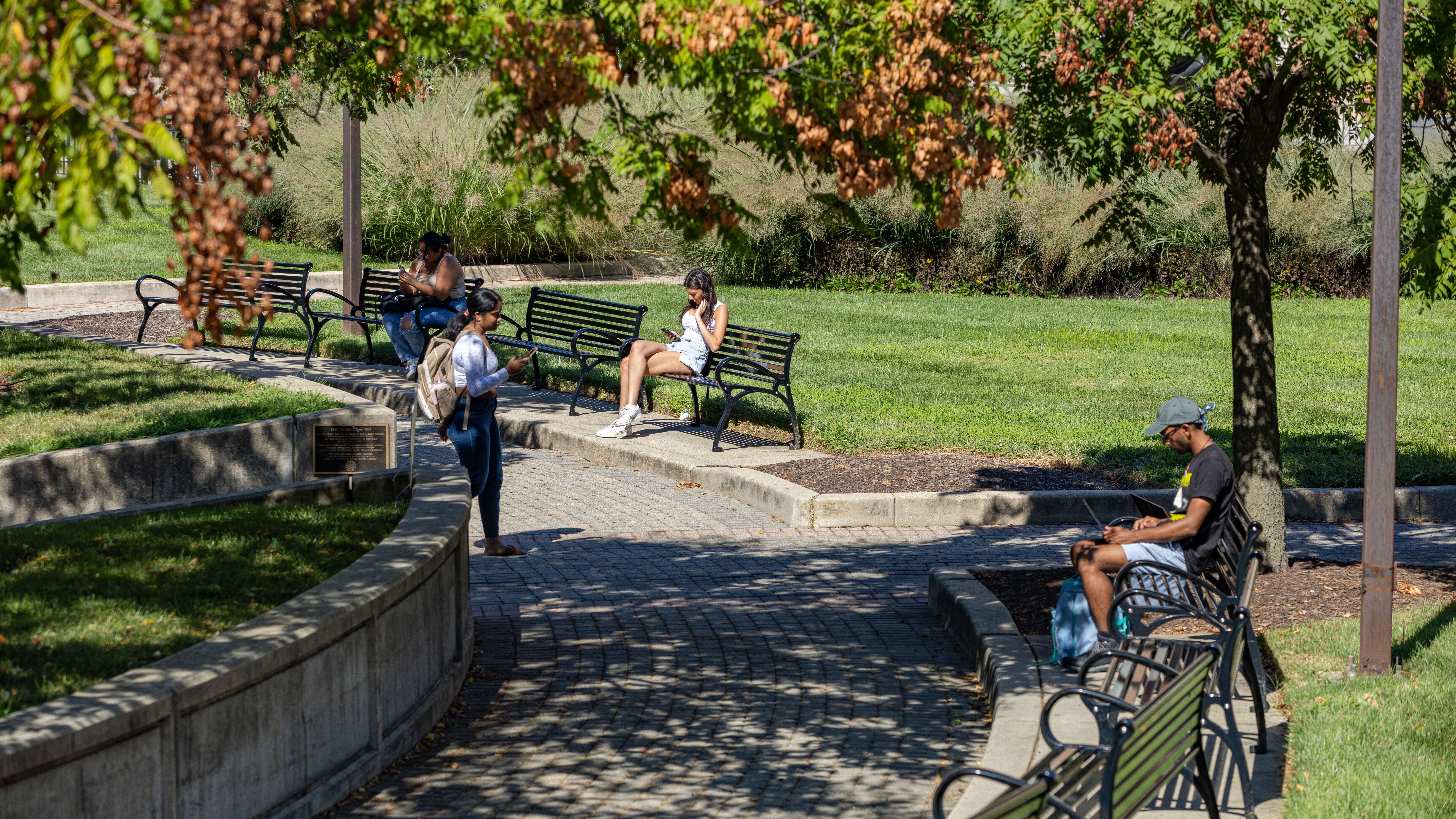 Terps used phones or laptops on campus