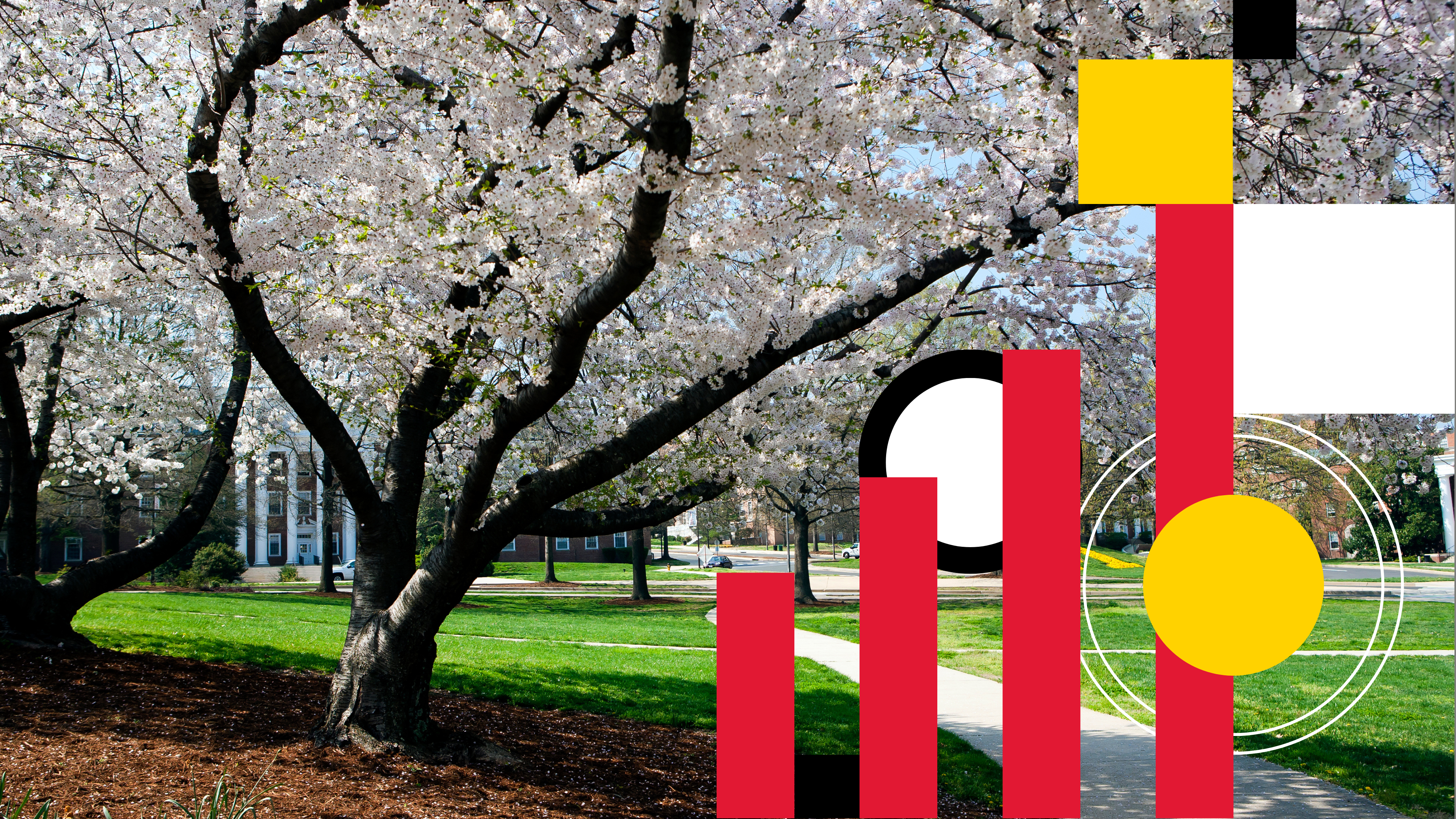 Campus in Spring with geometric shapes
